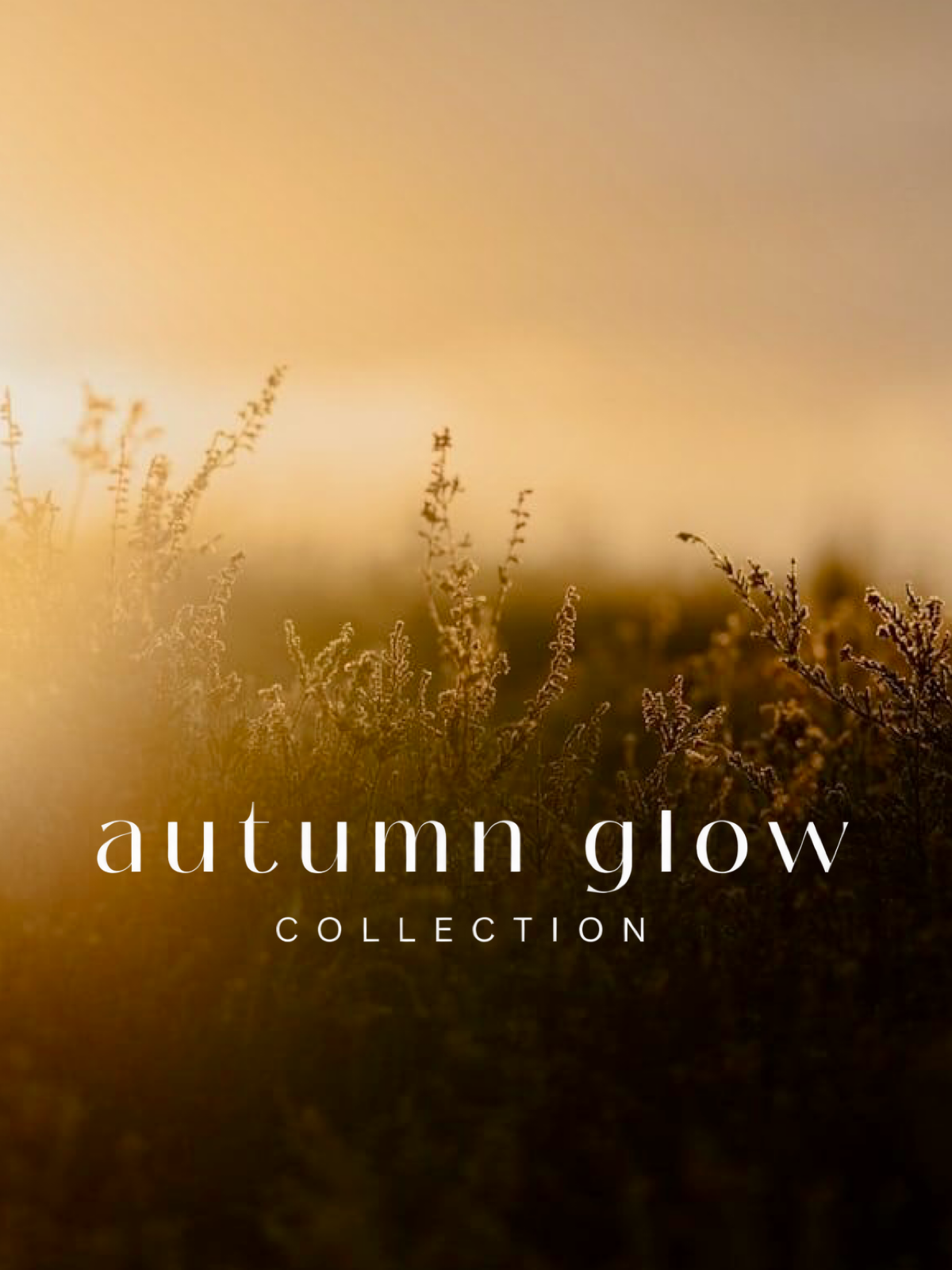 AUTUMN GLOW