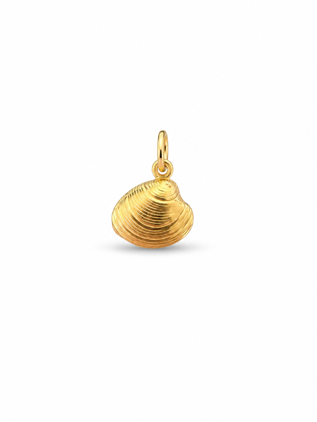 MUSCHEL - Charm