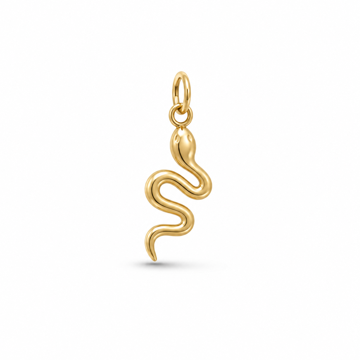SNAKE - Charm