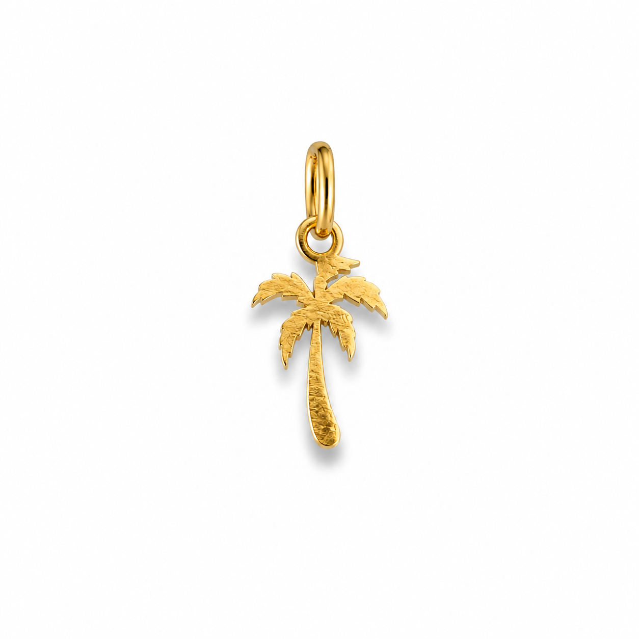 PALM - Charm