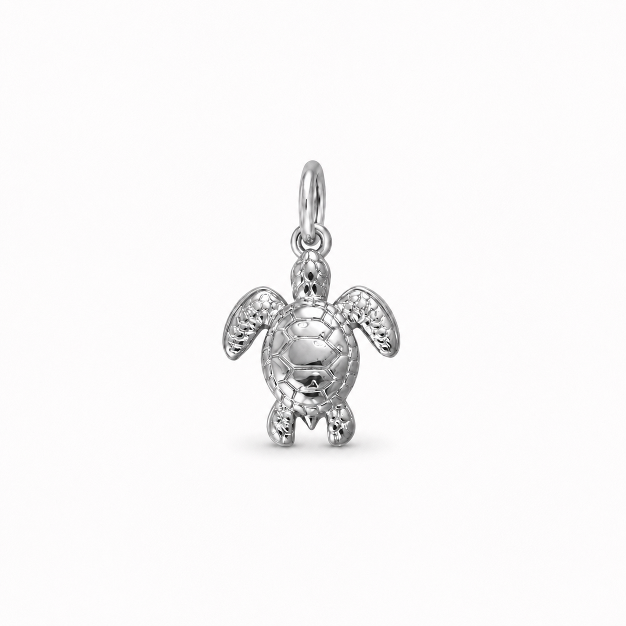 SCHILDKRÖTE - Charm