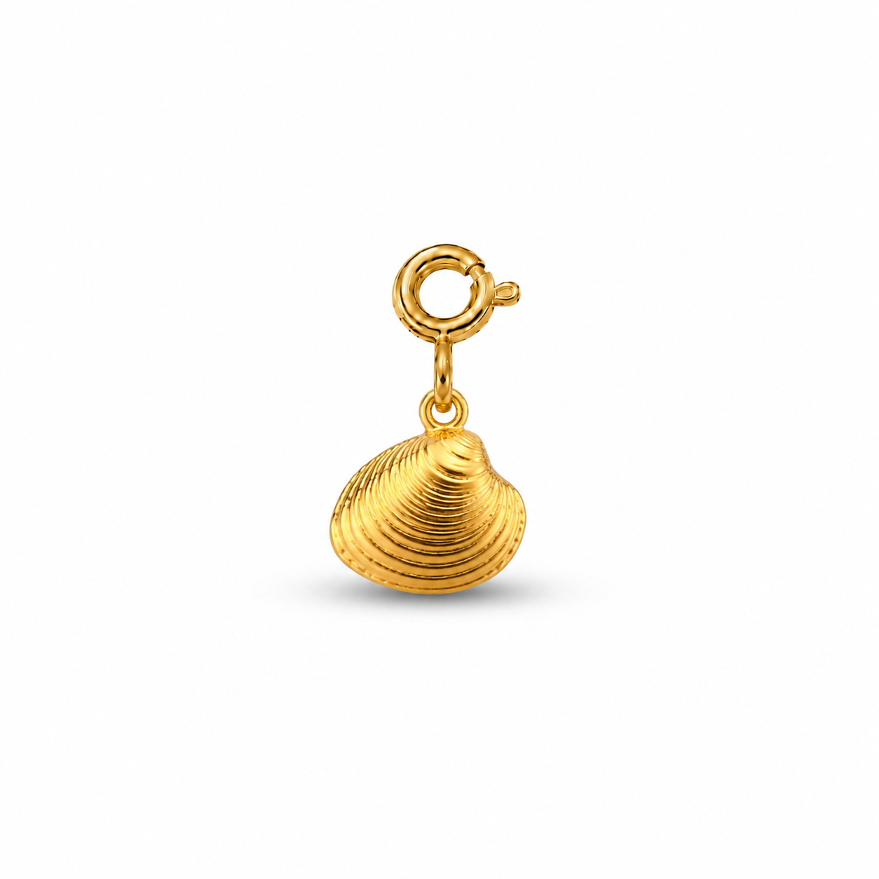 MUSCHEL - Charm