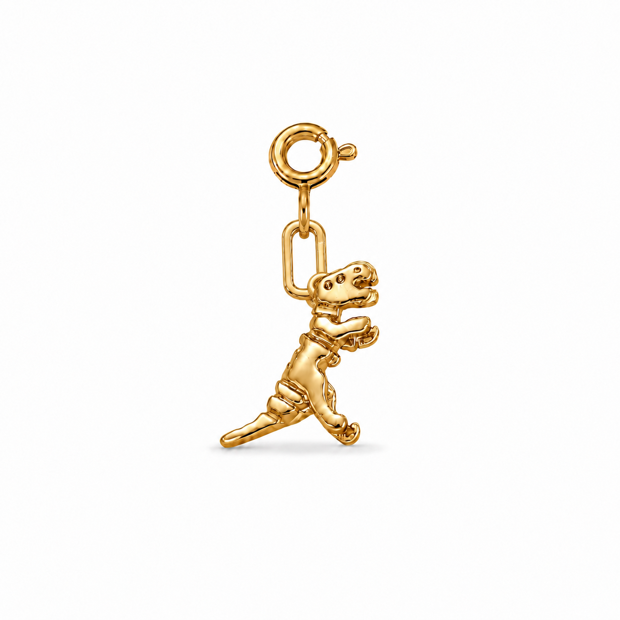 DINO - Charm