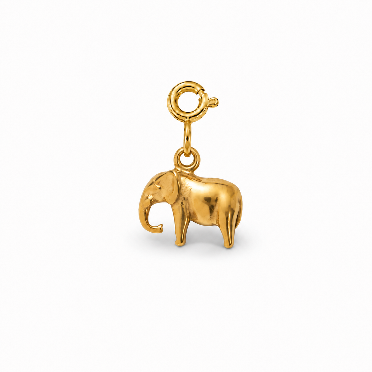ELEFANT  - Charm