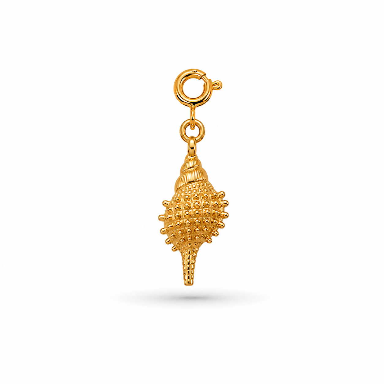 SHELL - Charm