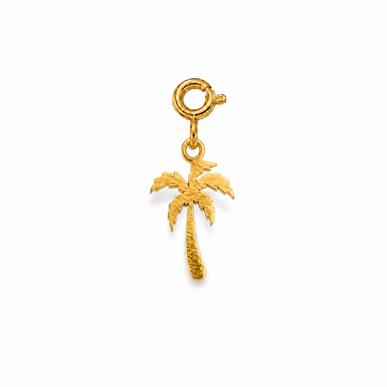 PALM - Charm