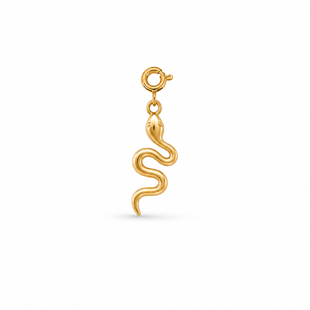 SNAKE - Charm