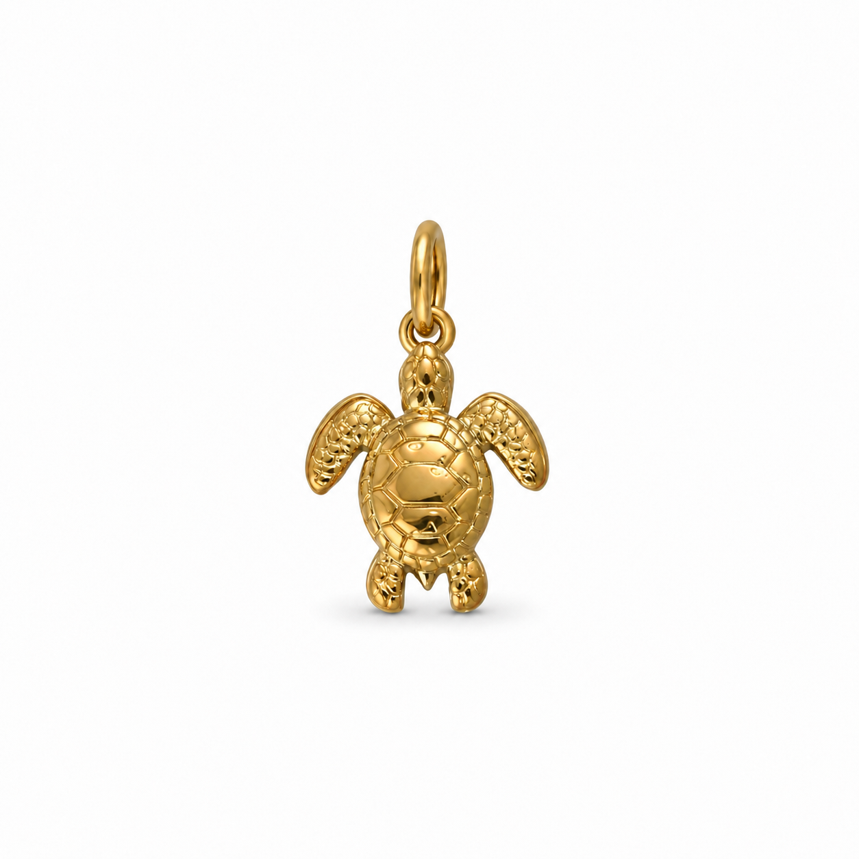 SCHILDKRÖTE - Charm