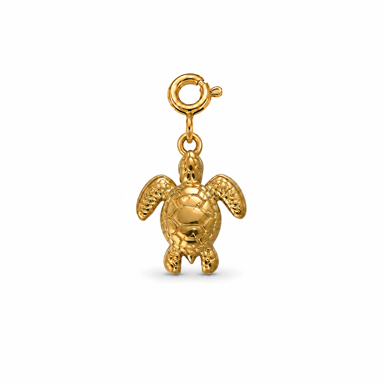 SCHILDKRÖTE - Charm